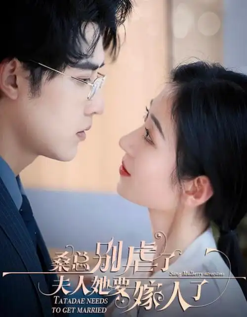 闪婚对象是首富短剧海报